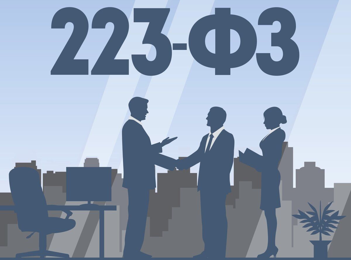 Допустимы&nbsp;ли две цены в&nbsp;рамках 223-ФЗ?