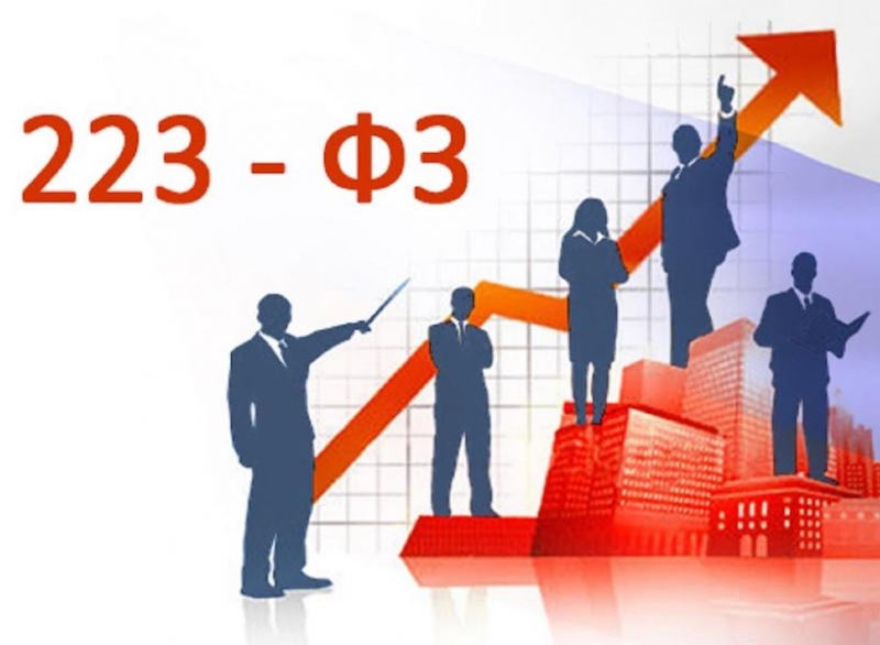 Об&nbsp;установлении требований в&nbsp;закупках по&nbsp;223-ФЗ