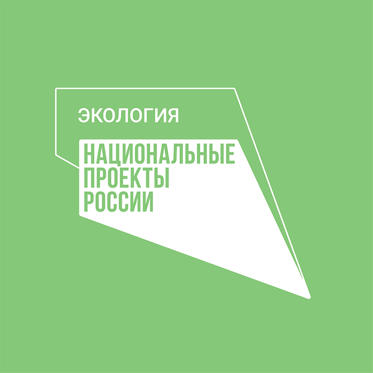 Уязвимости и&nbsp;осечки нацпроектов вычислила Счетная палата